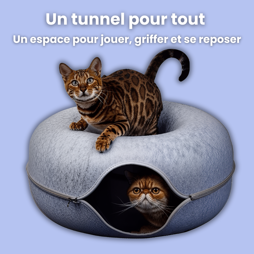 Dodochat™
