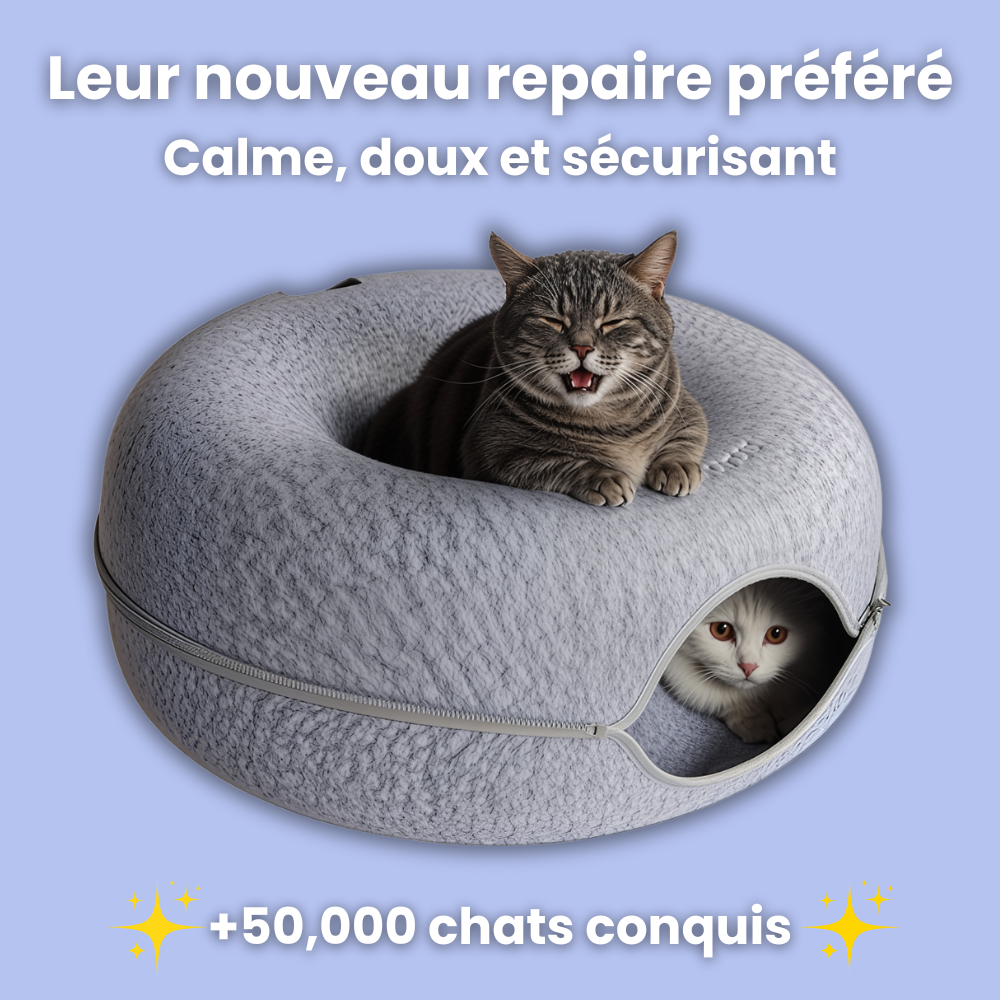 Dodochat™