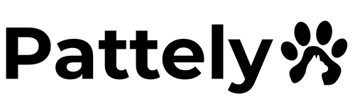 Pattely